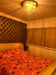 Blk 228 Pending Road (Bukit Panjang), HDB Executive #500588531